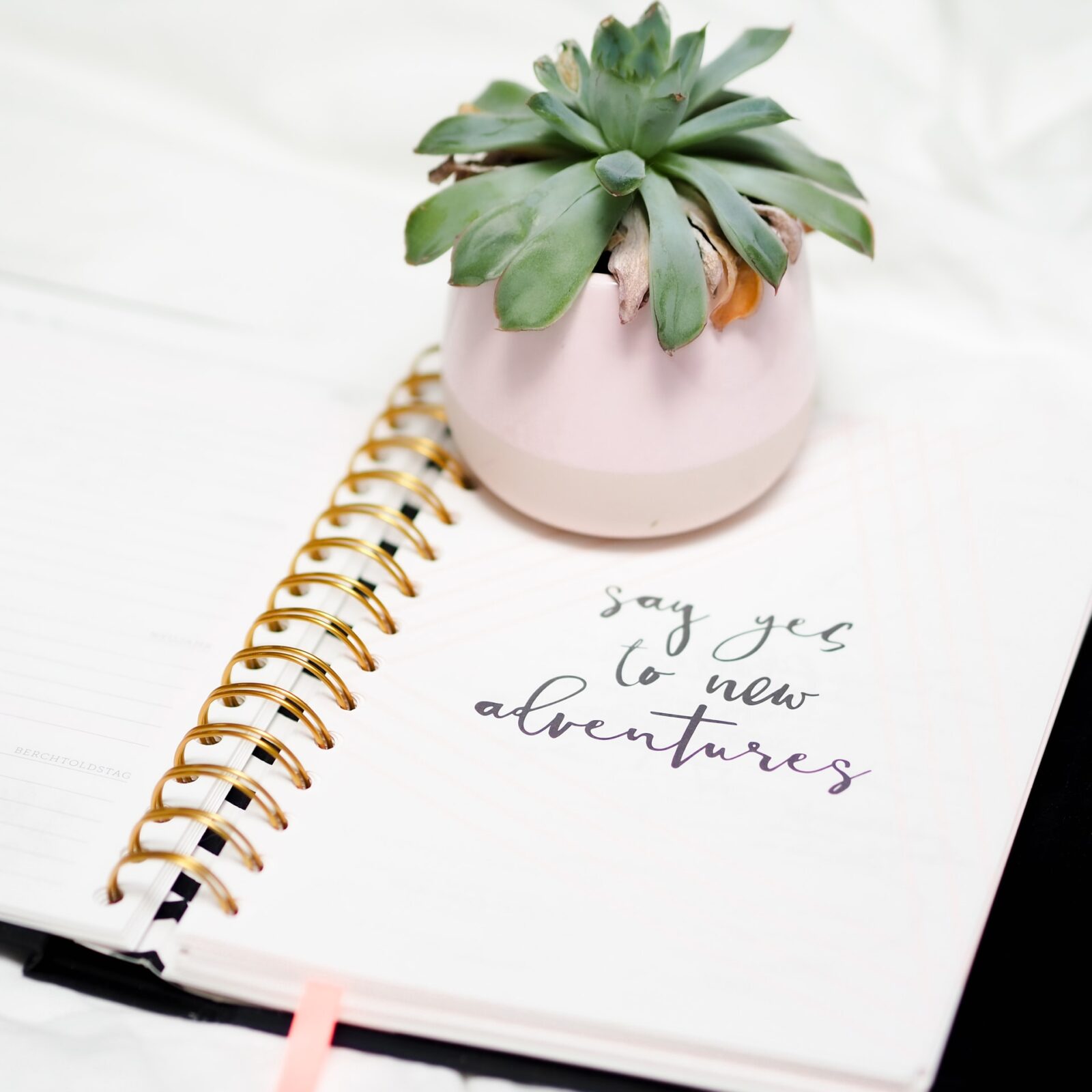 Why it&rsquo;s ok to donate the good stuff