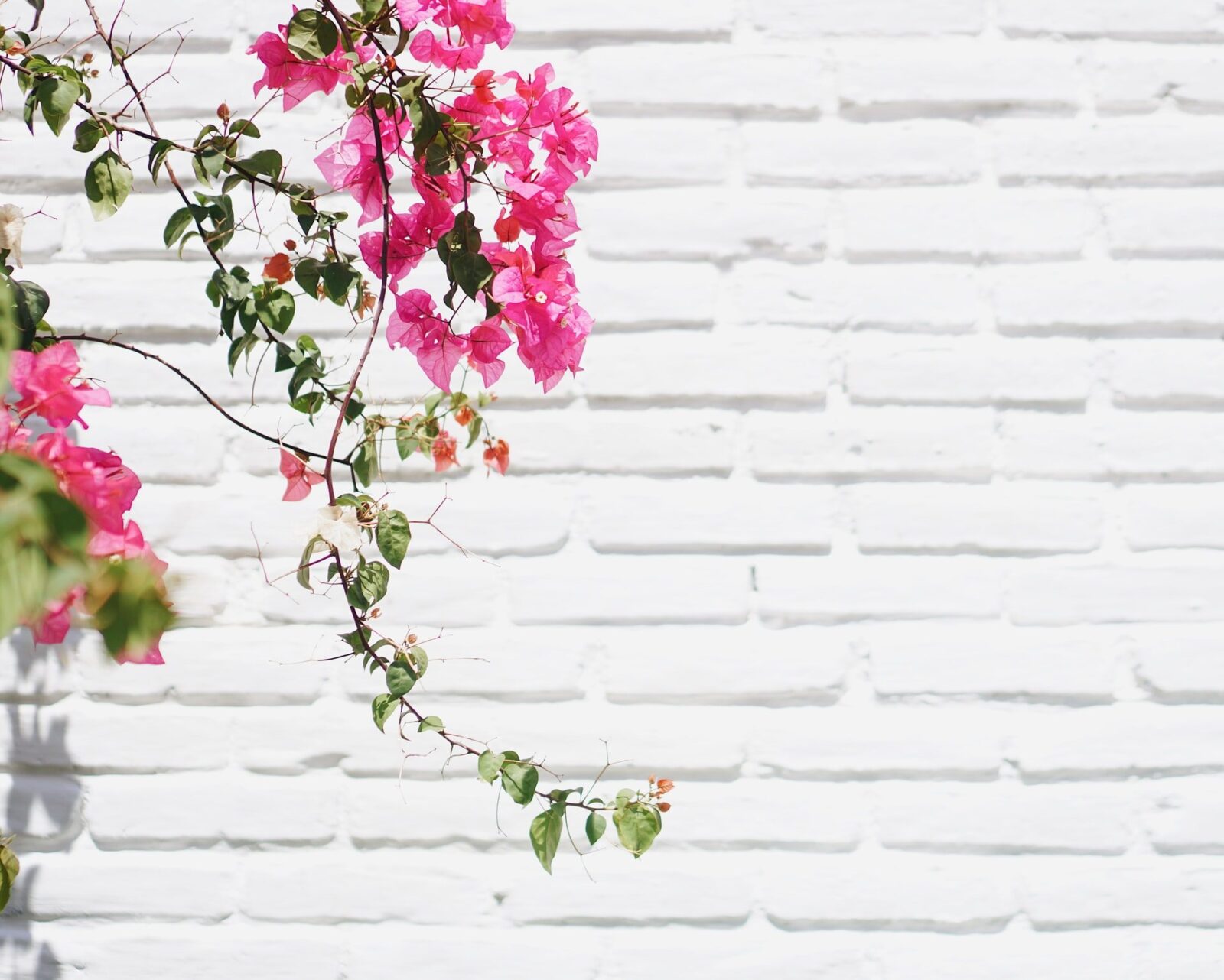 Question time: I&rsquo;m so overwhelmed with my home, I don&rsquo;t know where to start